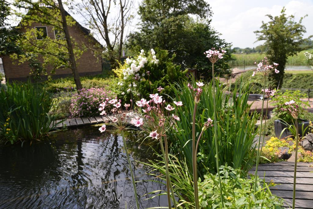 Guest House Aan De Hollandse Ijssel Montfoort Ngoại thất bức ảnh